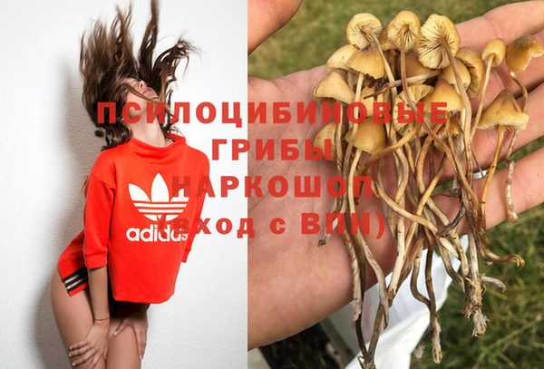 гидропоника Абдулино