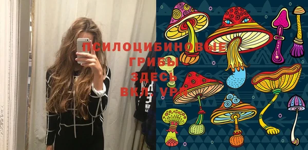 гидропоника Абдулино