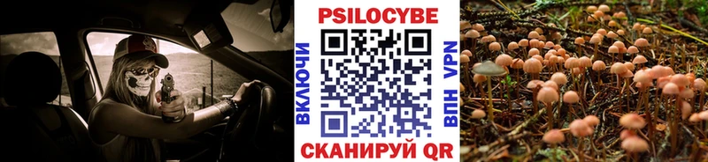 Псилоцибиновые грибы GOLDEN TEACHER Советск
