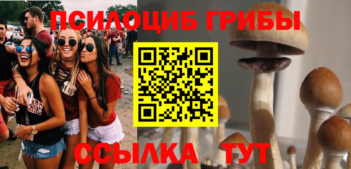 Галлюциногенные грибы Cubensis  Вход с VPN  Псилоцибиновые грибы Magic Shrooms  Советск 