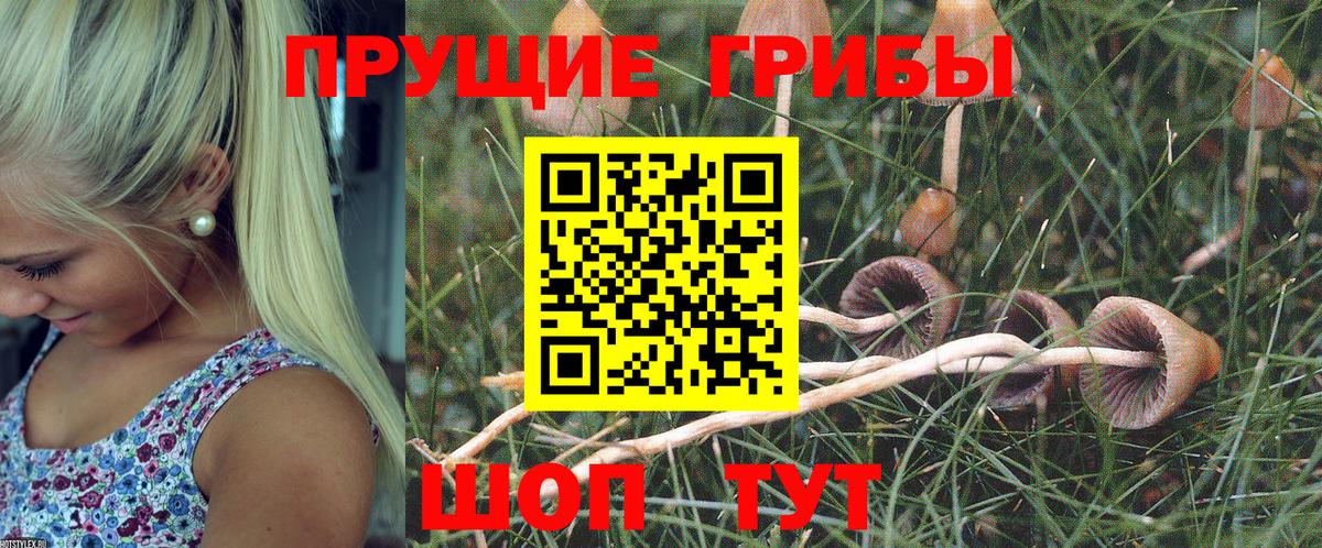 Псилоцибиновые грибы прущие грибы Советск
