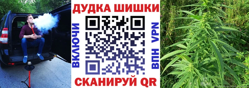 купить закладку  Советск  Каннабис семена 